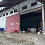 WhatsApp Image 2025-09-15 at 11.48.19