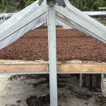 WhatsApp Image 2025-09-15 at 11.48.53