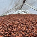 WhatsApp Image 2025-09-15 at 11.49.15