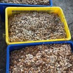 WhatsApp Image 2025-09-15 at 11.50.27 (1)